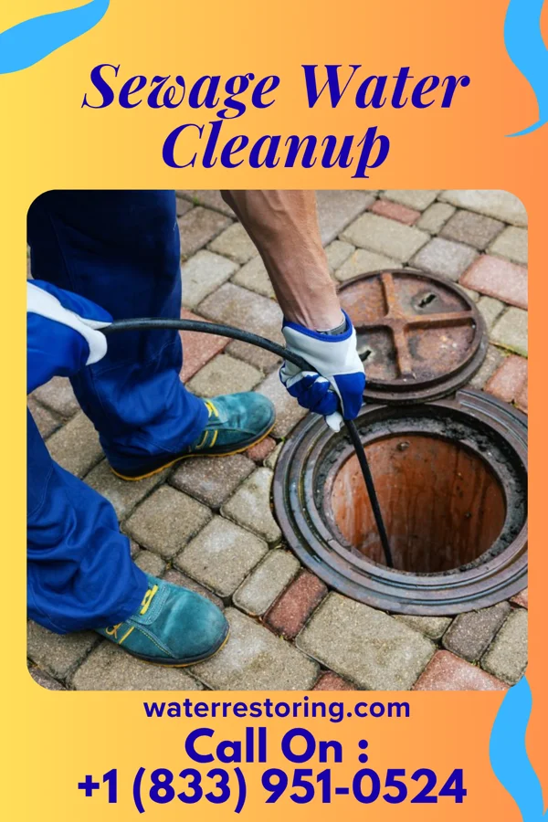 Sewage Water Cleanup in Karlstad, MN